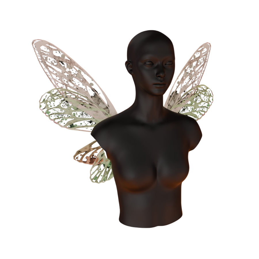 Fairy Wings